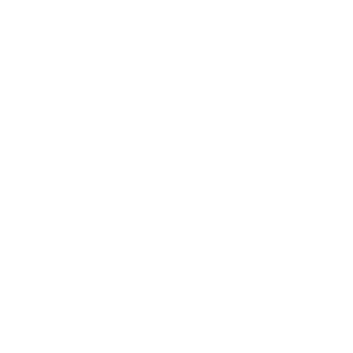 MagicMotorsport-logo